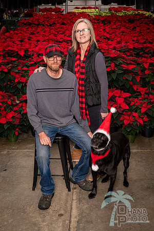 SantaPaws2022-303