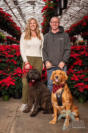 SantaPaws2022-288