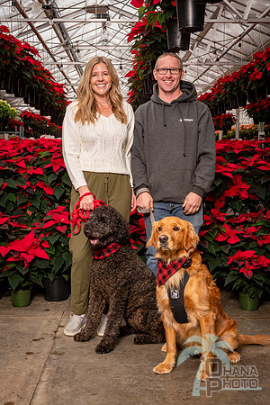 SantaPaws2022-289
