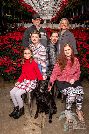 SantaPaws2022-307