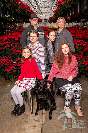 SantaPaws2022-305