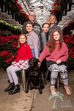SantaPaws2022-315