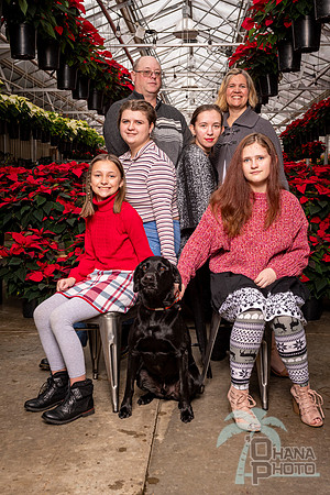 SantaPaws2022-316