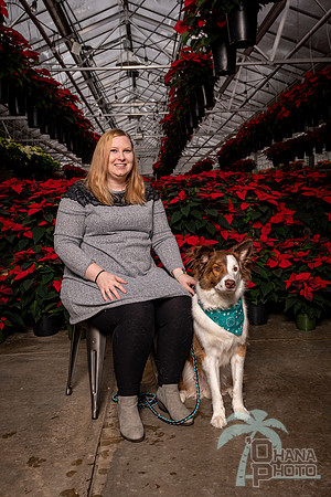 SantaPaws2022-348