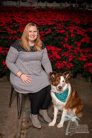 SantaPaws2022-350
