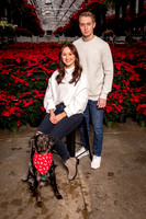 SantaPaws2022-356