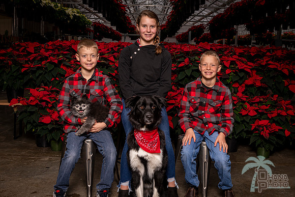 SantaPaws2022-389
