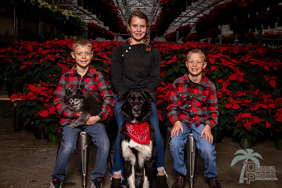 SantaPaws2022-390