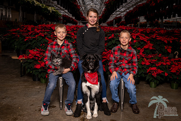 SantaPaws2022-392
