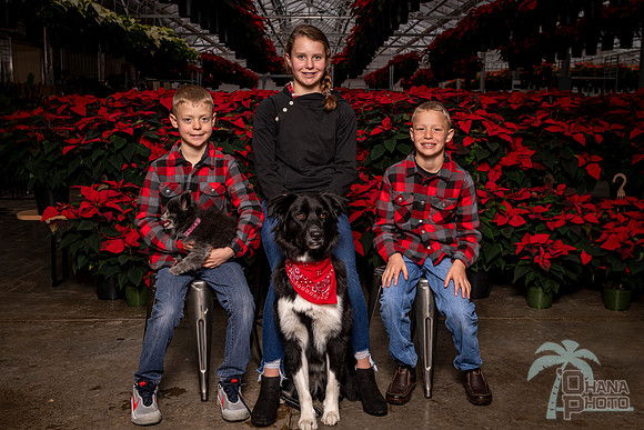 SantaPaws2022-391