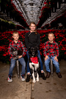 SantaPaws2022-393
