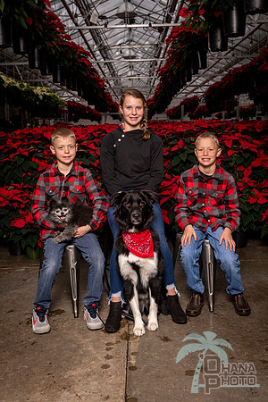 SantaPaws2022-393
