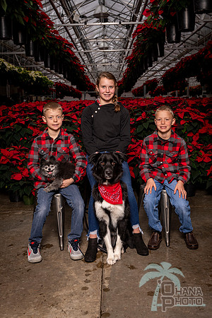 SantaPaws2022-394