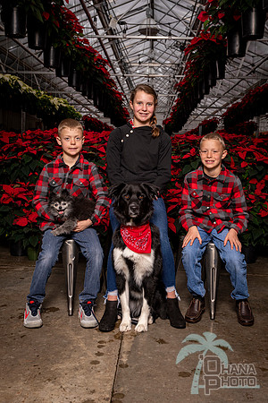 SantaPaws2022-395