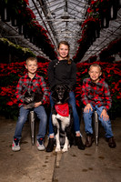 SantaPaws2022-397
