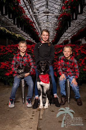 SantaPaws2022-397