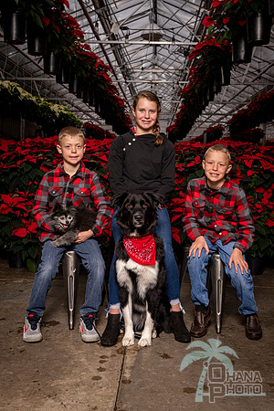 SantaPaws2022-396