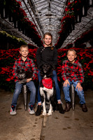SantaPaws2022-398