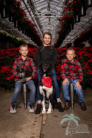 SantaPaws2022-398