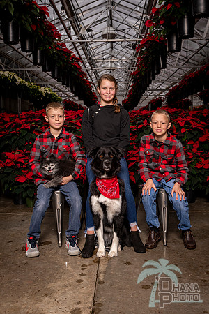SantaPaws2022-399