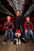 SantaPaws2022-401