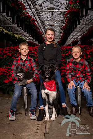 SantaPaws2022-401
