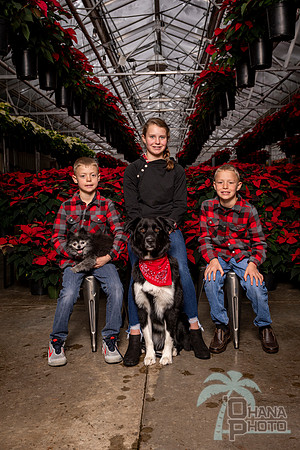 SantaPaws2022-400