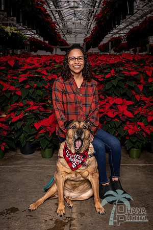 SantaPaws2022-379
