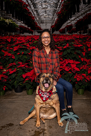 SantaPaws2022-378