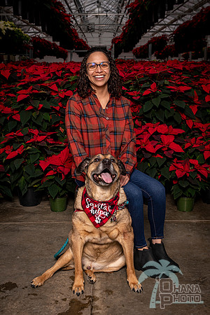 SantaPaws2022-382