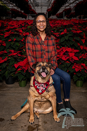 SantaPaws2022-383
