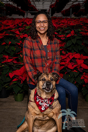 SantaPaws2022-386