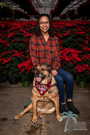 SantaPaws2022-384