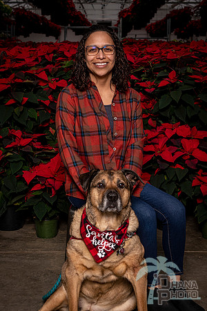 SantaPaws2022-387
