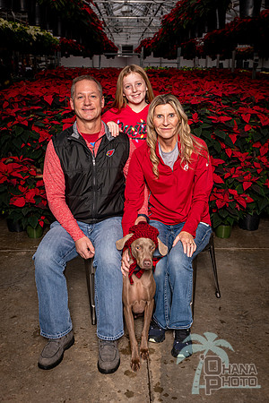 SantaPaws2022-405