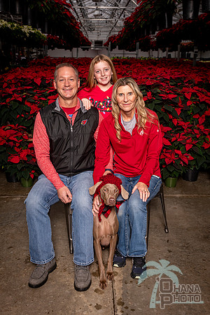 SantaPaws2022-407