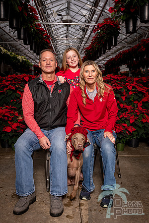 SantaPaws2022-408