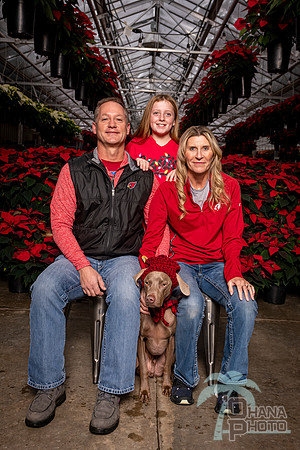 SantaPaws2022-410