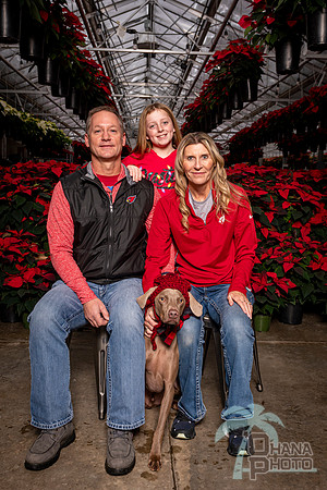 SantaPaws2022-409