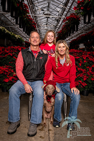 SantaPaws2022-411