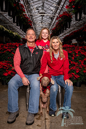 SantaPaws2022-413