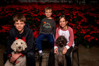 SantaPaws2022-334