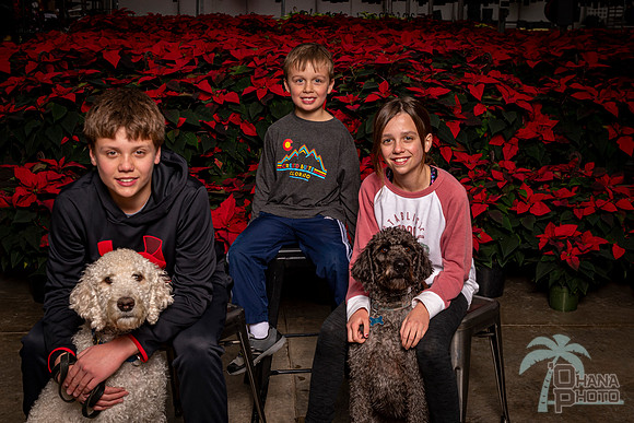 SantaPaws2022-334