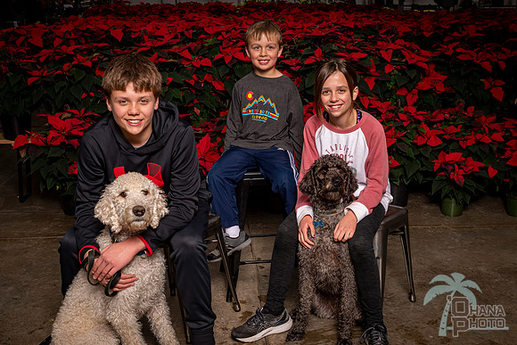 SantaPaws2022-336