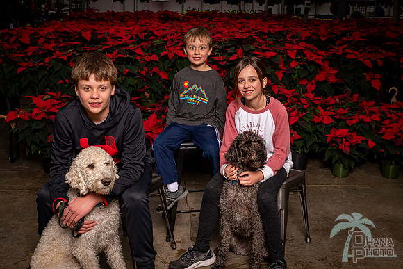 SantaPaws2022-333