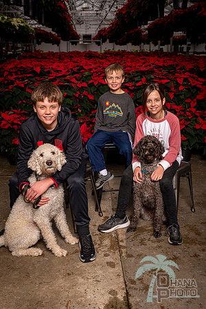 SantaPaws2022-337