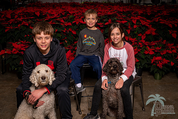 SantaPaws2022-335