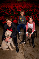 SantaPaws2022-340