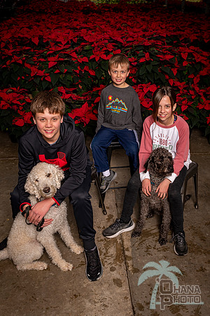 SantaPaws2022-340