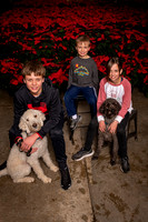 SantaPaws2022-341